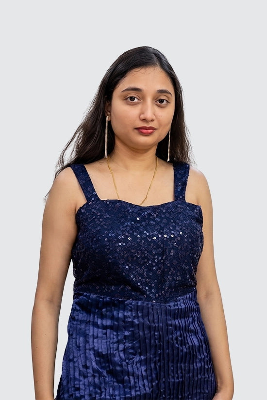 Sequin Pleated Dress
